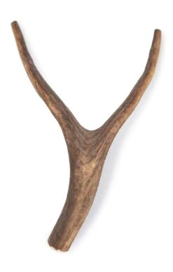 Antler Dog Chew