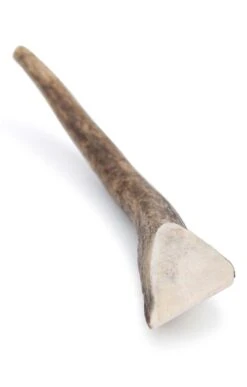 Antler Dog Chew -Highland Gift Outlet Store CJ15031ANTLERSMALL 1