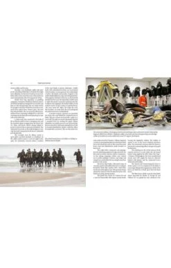 The Tack Room By Paula Sells -Highland Gift Outlet Store CK00261BOOK 2