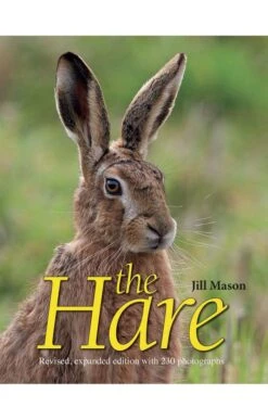 The Hare By Jill Mason