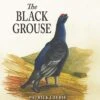 The Black Grouse By Patrick Laurie