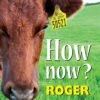 How Now? By Roger Evans