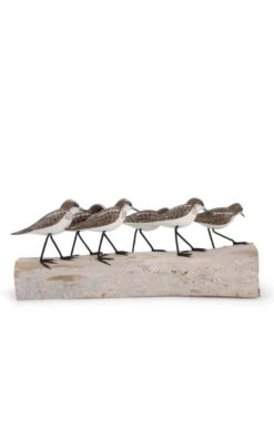 Little Stint Block Bird Carving -Highland Gift Outlet Store CT151356BIRDS 3