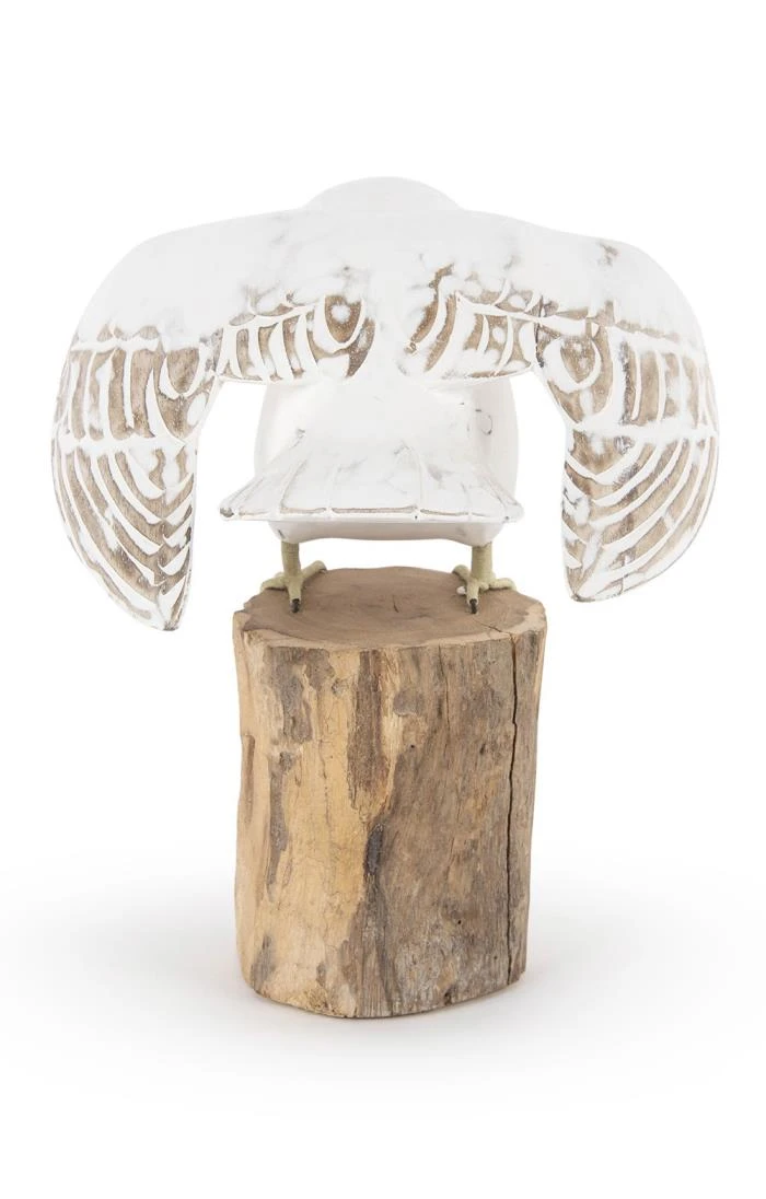 Barn Owl 3 Barn Owl - Image 3