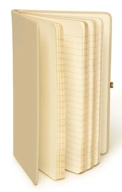 Highland Gift Outlet Store -Highland Gift Outlet Store CY15054CHIFFON 1