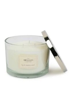 14oz Candle Life’s Treasures -Highland Gift Outlet Store CY20242FIGBLACKCURRANT 1