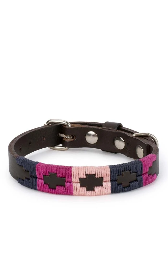 Argentinean Dog Collar 2 Argentinean Dog Collar - Image 2