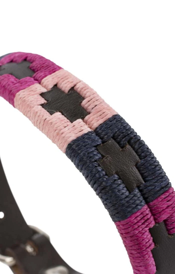 Argentinean Dog Collar 5 Argentinean Dog Collar - Image 5