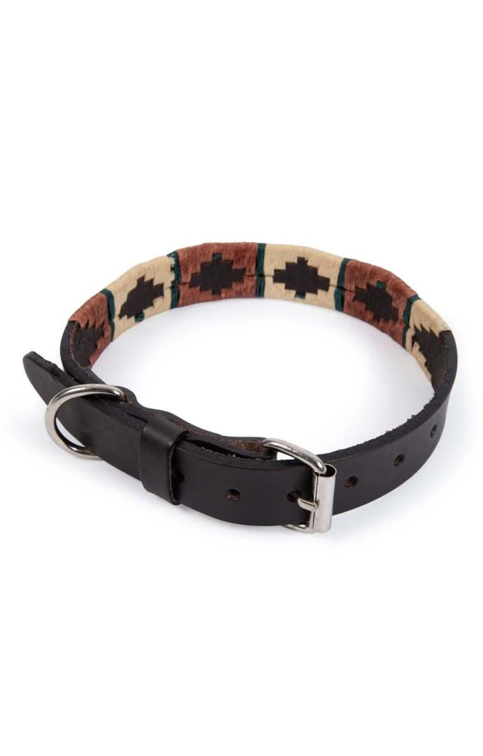 Argentinean Dog Collar 8 Argentinean Dog Collar - Image 8