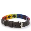 Argentinean Dog Collar