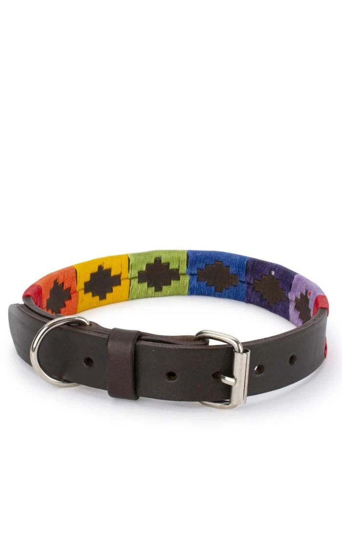 Argentinean Dog Collar 1 Argentinean Dog Collar