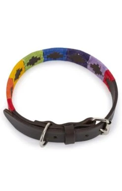 Argentinean Dog Collar -Highland Gift Outlet Store GJ12207MULTI 2 1