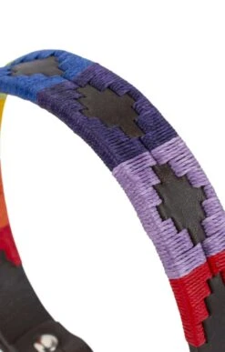 Argentinean Dog Collar -Highland Gift Outlet Store GJ12207MULTI 4 1