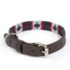 Argentinean Dog Collar