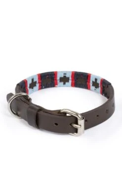 Argentinean Dog Collar