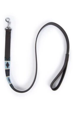 Argentinean Dog Lead -Highland Gift Outlet Store GJ12208GRNPALEBLUNVYCRMSTRP 2