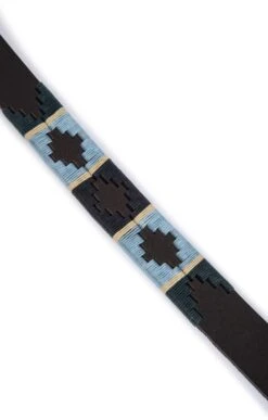 Argentinean Dog Lead -Highland Gift Outlet Store GJ12208GRNPALEBLUNVYCRMSTRP 3