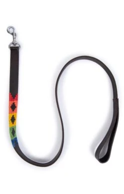 Argentinean Dog Lead -Highland Gift Outlet Store GJ12208MULTI 2