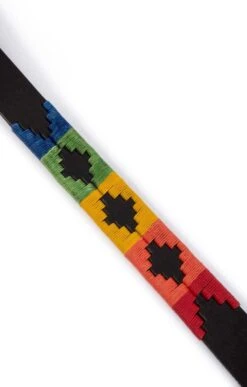 Argentinean Dog Lead -Highland Gift Outlet Store GJ12208MULTI 3 1