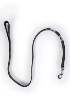 Argentinean Dog Lead -Highland Gift Outlet Store GJ12208NVYPLBLUERED 2 1
