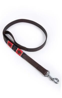 Argentinean Dog Lead