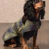 Barbour Tartan Dog Coat