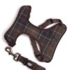 Barbour Dog Travel & Exercise Harness