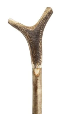 Wilson Horn Tipped Walking Staff -Highland Gift Outlet Store TK17495WOOD 3