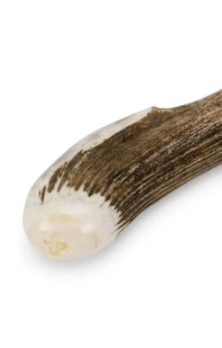 Stag Antler Fishing Priest -Highland Gift Outlet Store TK17500HORN 1