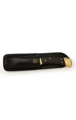 Buck Folding Hunter Knife